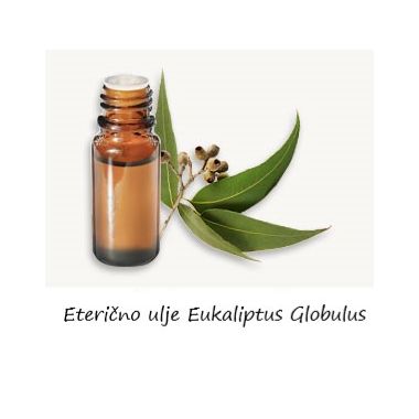 Eukaliptus globulus 30 ml eterično ulje