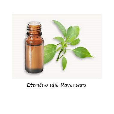 Ravensara 10 ml eterično ulje