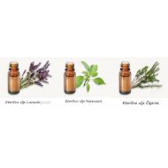 Komplet eteričnih ulja - osnove aromaterapije